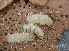 ��ρ���� ���A(y��)�� (2)