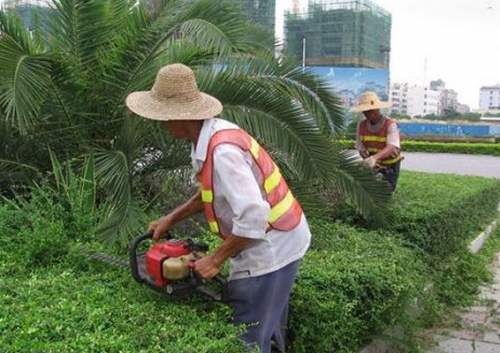 �c(di��n)���鿴��DƬ